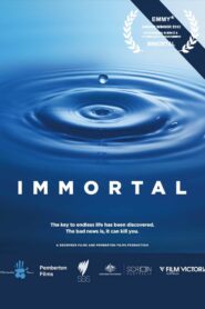 Immortal 2010 on netflix