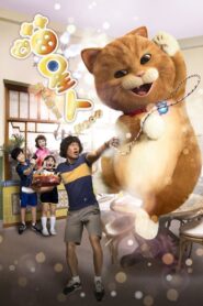 Meow 2017 on netflix