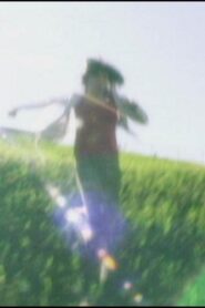 Wonderland in the Negative 2002 on netflix