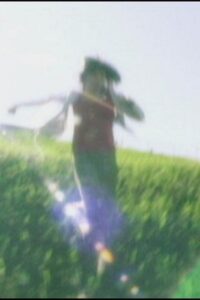 Wonderland in the Negative 2002 on netflix