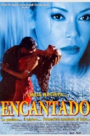 Encantado 2002 on netflix