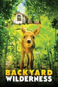 Backyard Wilderness 2018 on netflix