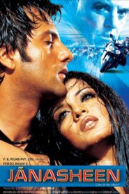 Janasheen 2003 on netflix