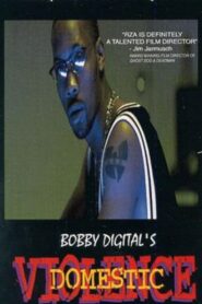 Domestic Violence 1999 on netflix
