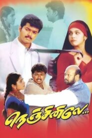 Nenjinile 1999 on netflix