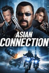 The Asian Connection 2016 on netflix