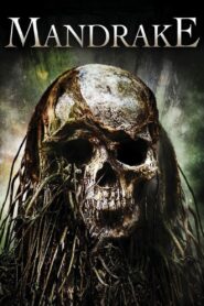Mandrake 2010 on netflix