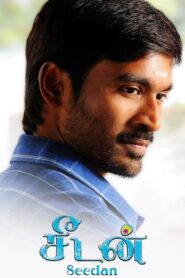 Seedan 2011 on netflix