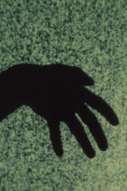 Fear in the City (1181 Days Later or Smell of Rats) 1984 on netflix