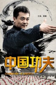 Chinese Kungfu 2010 on netflix