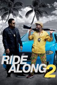 Ride Along 2 2016 on netflix