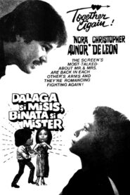 Dalaga si Misis, Binata si Mister 1981 on netflix