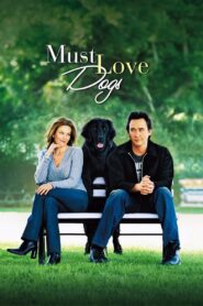Must Love Dogs 2005 on netflix
