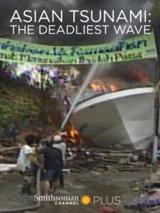 Asian Tsunami: The Deadliest Wave 2014 on netflix