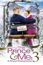 The Prince & Me: A Royal Honeymoon 2008 on netflix