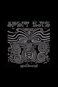 Split Enz: Spellbound 1993 on netflix