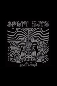 Split Enz: Spellbound 1993 on netflix