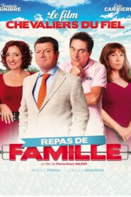 Repas de famille 2014 on netflix