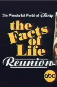 The Facts of Life Reunion 2001 on netflix