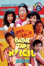 Bayar Tapi Nyicil 1988 on netflix