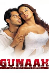 Gunaah 2002 on netflix