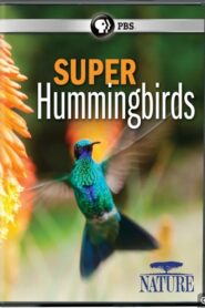 Super Hummingbirds 2016 on netflix