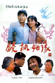 酸辣姻缘 1985 on netflix