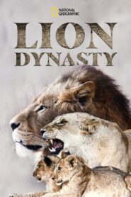 Lion Dynasty: A Matter of Pride 2021 on netflix