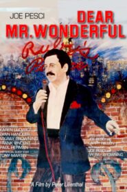 Dear Mr. Wonderful 1982 on netflix