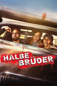 Half Brothers 2015 on netflix
