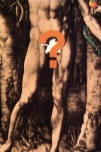 Geschlechtsorgane 1983 on netflix