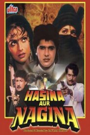 Hasina Aur Nagina 1996 on netflix