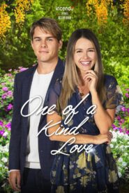 One of a Kind Love 2021 on netflix