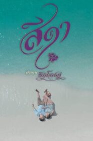 Seeda 2020 on netflix