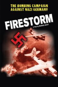 Firestorm 2003 on netflix