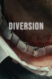 Diversion 2018 on netflix