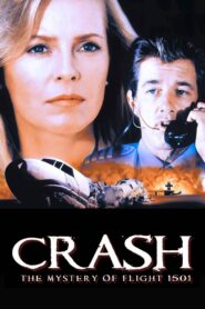 Crash: The Mystery of Flight 1501 1990 on netflix