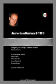 Amsterdam Boulevard 1991 on netflix