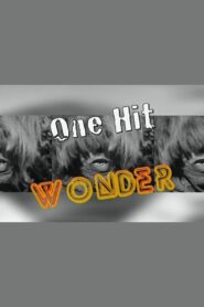 One Hit Wonder 2011 on netflix