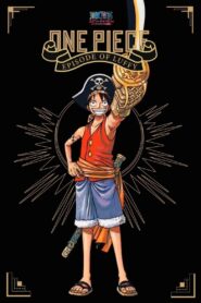 One Piece: Episode of Luffy – Hand Island Adventure 2012 on netflix