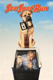 See Spot Run 2001 on netflix