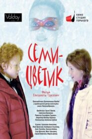 Seven-Flower 2013 on netflix