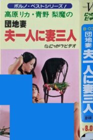 Apartment Wife: One Husband, Three Wives 1981 on netflix