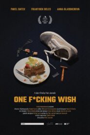 One F*cking Wish 2022 on netflix