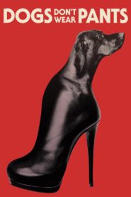 Dogs Don’t Wear Pants 2019 on netflix