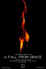 A Fall from Grace 2020 on netflix