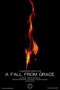 A Fall from Grace 2020 on netflix