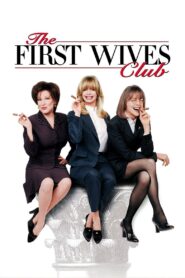 The First Wives Club 1996 on netflix