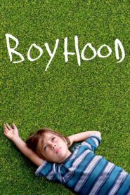 Boyhood 2014 on netflix