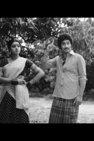 The Krishna Incarnation 1982 on netflix